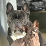 Mandy Lovett - @louie_coco_kobi - Instagram
