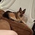 Mandy Lowe - Facebook