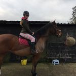 @mandy_lowe_ - Instagram