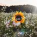 Mandy Lowell - Facebook