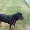 Mandy Ludwig - @mandy.ludwig1 - TikTok
