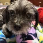 Mandy Jo Lyon - Facebook