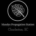 Mandy Maas - @mandys_propagation_station - Instagram