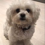 Mandy Coughlan Mackey - @amandamackey327 - Instagram