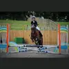 Mandy Macpherson - @mandymacpherson1 - TikTok
