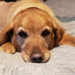 Mandy Mahan - @_amahan_ - Instagram