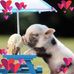 Mandy Marchant - Facebook