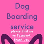 Amanda Marlow - @amandasdogboarding - Instagram