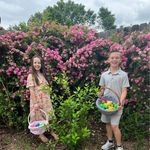 Amanda Mauldin O'Jibway - @mauldinojibway - Instagram
