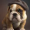 user6378362632958 - @mandy.weather - TikTok