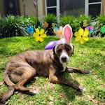 Mandy Echols McAuley - @mcauley.mandy - Instagram