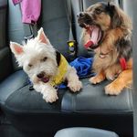 Mandy Nally McCormack - @mandyjmccormack - Instagram