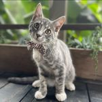 Mandy McCormick - @mmccormick17 - Instagram