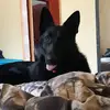 Mandy McCormick - @mandy.mccormick - TikTok