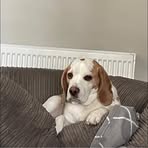 Mandy Mckenna - Facebook