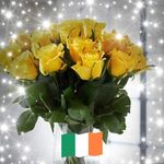 Mandy McKenna - @mandymckenna17 - Instagram