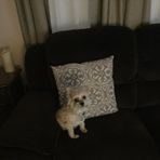 Mandy Morel - Facebook