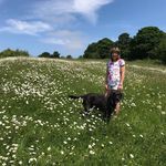 Mandy Murray - @mandyscraftzone - Instagram