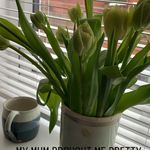 Mandy Noble - @clutter_free_freedom - Instagram