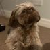 Mandy Noble - Facebook