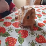 Mandy Nolan - @mn277941 - Instagram