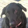 Mandy Norton - @appleuser47567435 - TikTok