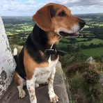 Mandy Oakes - Facebook