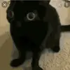 Mandy - @mandyppaul - TikTok