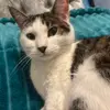 Mandy e peacock - @mandy.peacock7 - TikTok