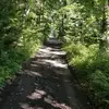 Mandy.Peacock - @stammyalsew - TikTok