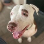 Picky Holt - @mandy_peacock_80 - Instagram