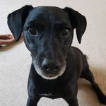 Mandy Pearson - @mandy.pearson15331 - Instagram