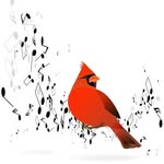 Mandy St.Pierre Johnson - @lhs_musicdepartment - Instagram