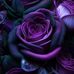 Mandy Powers - Facebook