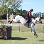 Mandy Powers - @powerssporthorses - Instagram