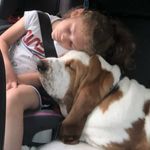 Amanda Pritchett - @am_pritchett - Instagram