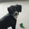 mandyproctor496 - @mandyproctor496 - TikTok