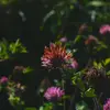 MandyProctor - @hoegehpqyny - TikTok