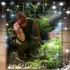 mandyquicker - @mandyquicker - TikTok