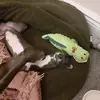 mandyrankin249 - @mandyrankin249 - TikTok