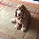 Mandy Rees - @rees7177 - Instagram