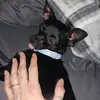 Mandy Reeves - @mandy.reeves7 - TikTok