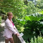 Mandy Reeves - @mandyreeves61 - Instagram
