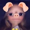 Cindyrenner4 - @mandyrenner4 - TikTok