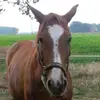 Mandy Renner - @grupse - TikTok