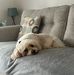 Mandy Riley - Facebook