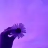 Mandy Robbs - @mandyrobbs - TikTok