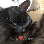 Mandy Root - @dmeroot - Instagram