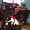 Mandy Sawyer - @user575510619 - TikTok