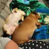 Mandy Sawyers - @mandy.sawyers - TikTok
